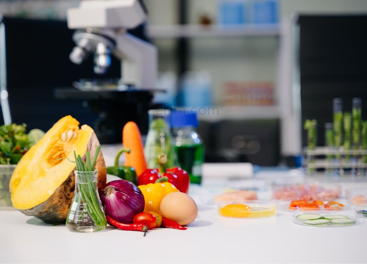 Coordinating Ministry for Food: Innovation Becomes the Key to Facing Food Challenges